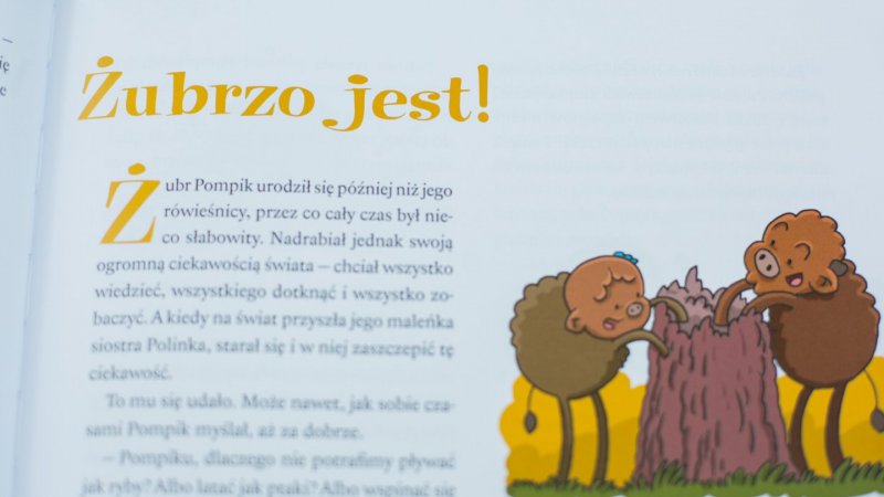 "Żubr Pompik" Tomasza Samojlika zabierze Was do serca Puszczy Białowieskiej (fot. Ewelina Zielińska)