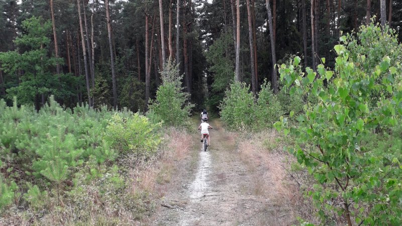 Leśno Rajza to inaczej długa przejażdżka po lesie (fot. Agnieszka Mróz/SilesiaDzieci.pl)