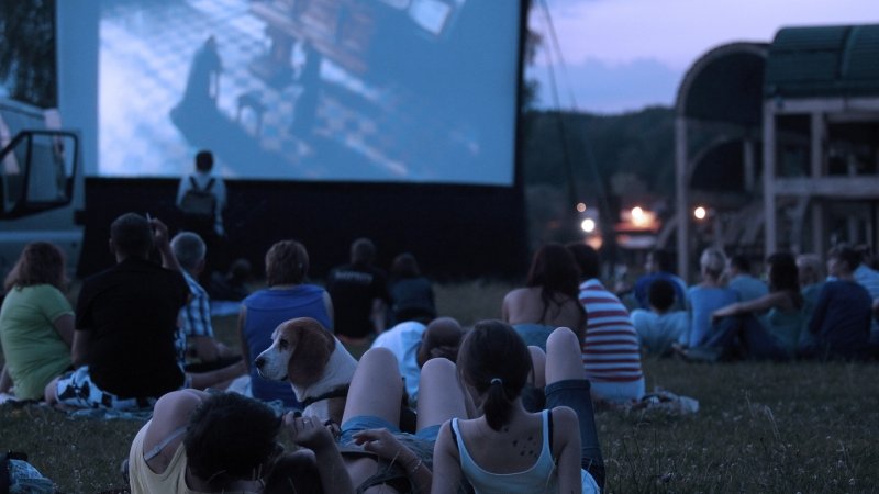 Letnie Kino Antyradia w Parku Śląskim rusza 2 lipca (fot. mat. organizatora)