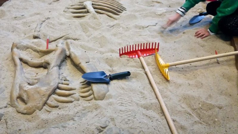 Najmłodsi będą mogli pobawić się w paleontologa (fot. mat. organizatora)