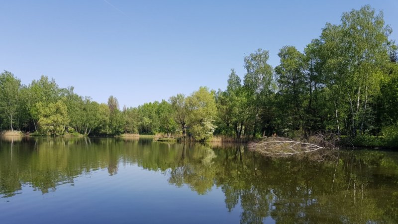 W parku im. Jacka Kuronia znajdują się trzy zbiorniki wodne (fot. Katarzyna Esnekier/SilesiaDzieci.pl)