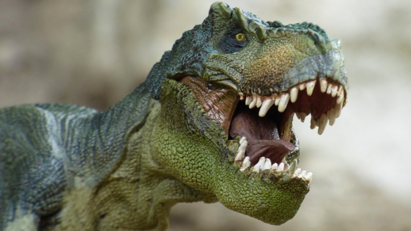 Centralnym punktem zabawy będzie Skalna Kotlina Dinozaurów (fot. mat. pixabay)