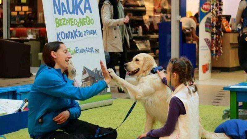 Podczas spotkania dzieci poznają mowę ciała psa (fot. mat. fundacji Forget-me-not)
