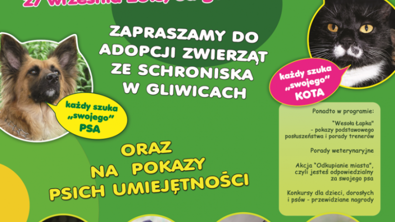 Siódma edycja Psistanku odbędzie się 27 września w Gliwicach (fot. mat. organizatora)