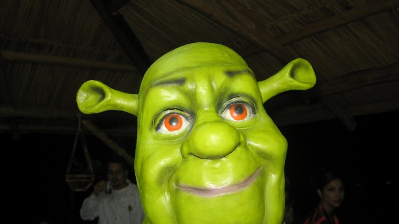 Shrek jest uwielbianą przez dzieci postacią z bajki. Dlatego może przekonać do zjedzenia zielonej zupy (fot. sxc.hu)