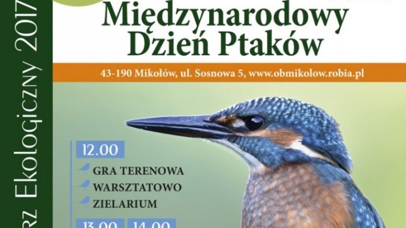 W Śląskim Ogrodzie Botanicznym, podobnie jak w latach ubiegłych, będzie obchodzony Międzynarodowy Dzień Ptaków (fot. mat. ŚOB)