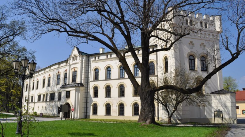 Stary Zamek najpierw należał do rodu Komorowskich, ostatnimi właścicielami byli Habsburgowie (fot. muzeum-zywiec.pl)