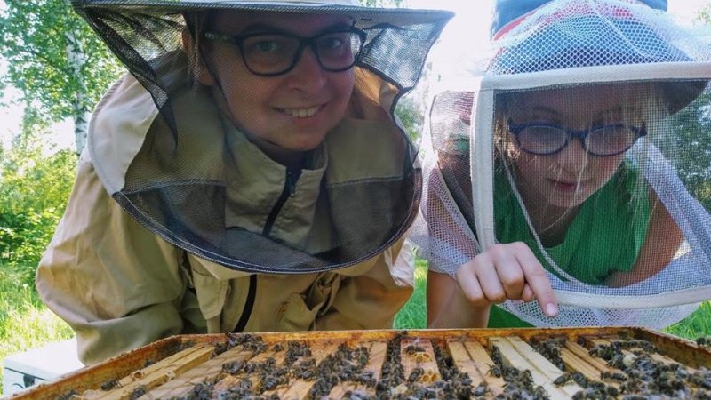 Zajęcia pszczelarskie dla całych rodzin odbędą się w dwóch terminach w Muzeum Śląskim (fot. mat. organizatora)