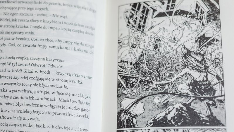 Dobry papier, świetnie rozplanowany tekst i komiksowe ilustracje zachęcają do obcowania z lekturą (fot. Ewelina Zielińska)