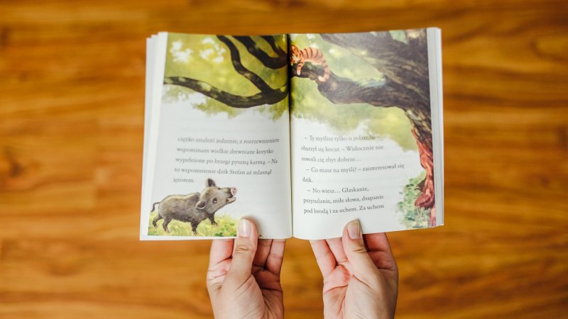 "Zuza czeka na Tygrysa" to propozycja dla dzieci, które chcą zacząć samodzielnie czytać książki (fot. Ewelina Zielińska)