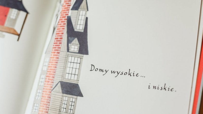 "Domy" to pięknie wydana, ilustrowana książka autorstwa Carson Ellis (fot. Ewelina Zielińska)