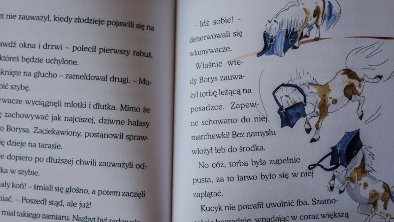 "Borys i Zajączki" to opowieść o przyjaźni dwóch sióstr i kucyka  autorstwa Magdaleny Zarębskiej (fot. Ewelina Zielińska)