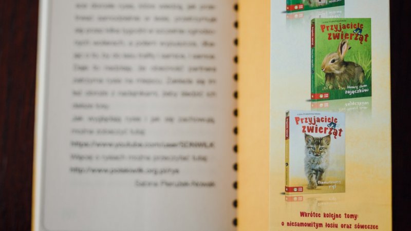 "Osamotniony ryś" to książka wydana w serii "Przyjaciele zwierząt" wydawnictwa Zielona Sowa (fot. Ewelina Zielińska)