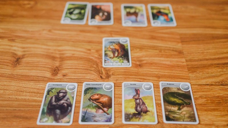 Na początku gracze posiadają po 4 karty, a jedna losowa znajduje się na środku (fot. Ewelina Zielińska)