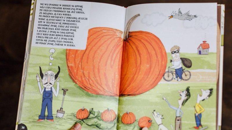 Ilustracje w "Wiejskich gryzmołkach" są żywe i kolorowe (fot. Ewelina Zielińska)