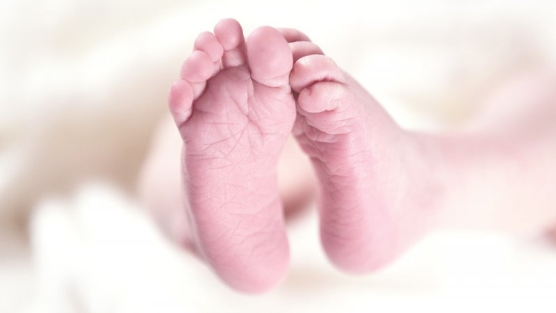 Pięcioraczki przyszły na świat na przełomie 24. i 25. tygodnia ciąży (fot. pixabay)