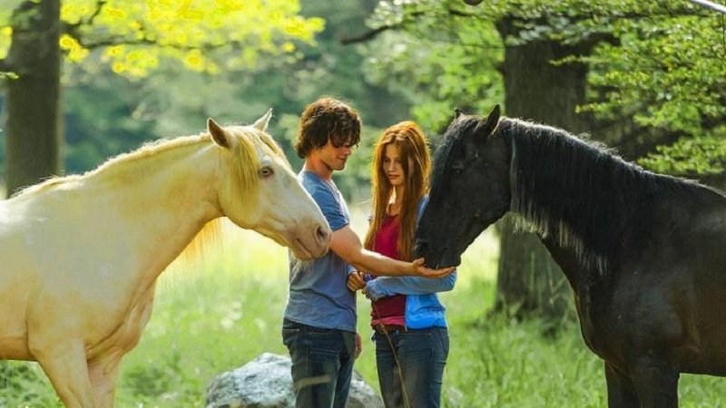 18 sierpnia na ekranie pojawi się „Wicher – dzikie konie” (fot. mat. organizatora)
