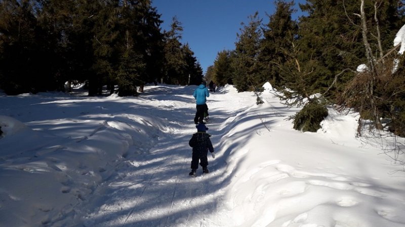 W poszukiwaniu śniegu wybraliśmy się w Beskidy (fot. Agnieszka Mróz/SilesiaDzieci.pl)