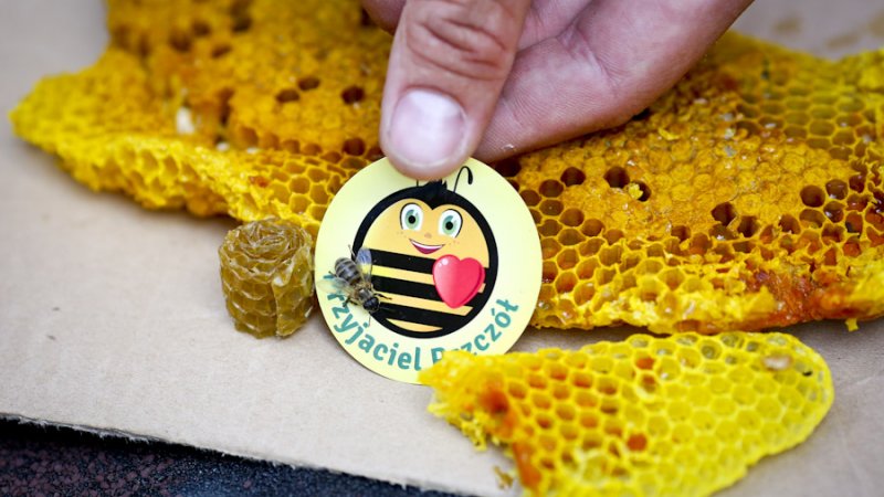 Obchody Wielkiego Dnia Pszczół odbędzie się 8 sierpnia w kilku miastach województwa śląskiego (fot. mat. organizatora)
