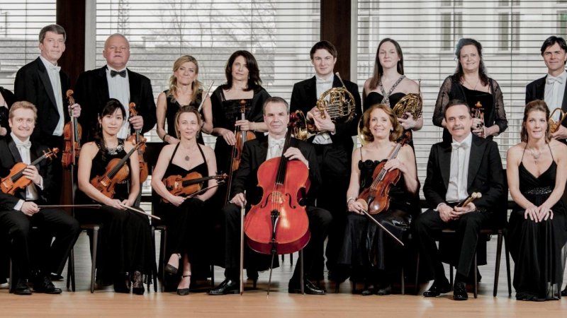 Część grupy  Wiener Solisten Orchester (fot. mat. organizatora)