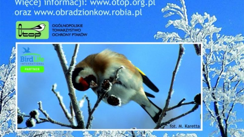 Do obserwacji ptaków mogą dołączyć nie tylko znawcy, ale również każdy, kto lubi kontakt z przyrodą, zarówno dzieci, jak i dorośli (fot. mat. organizatora)