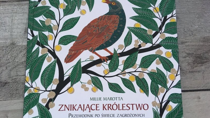 Książka to apel do najmłodszych o ratowanie Ziemi (fot. Ewelina Zielińska/SilesiaDzieci.pl)