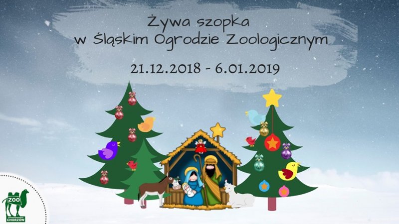 Żywą szopkę w śląskim zoo będzie można odwiedzać od 21 grudnia do 6 stycznia (fot. mat. oragnizatora)