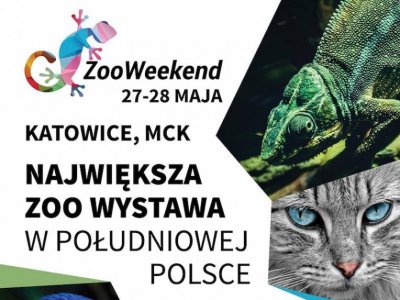 ZooWeekend to ciekawa propozycja dla miłośników zwierząt w każdym wieku (fot. FB Śląski Ogród Zoologiczny)