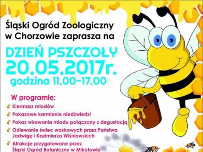 Dzień Pszczoły to jedna z imprez, które odbędą się w najbliższych dniach w Śląskim ZOO (fot. mat. organizatora)