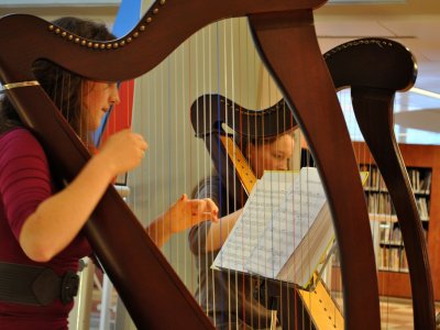 Jak brzmią różne instrumenty i czym się różnią dowiecie się na zajęciach w Muzeum Górnosląskim (fot. foter.com)
