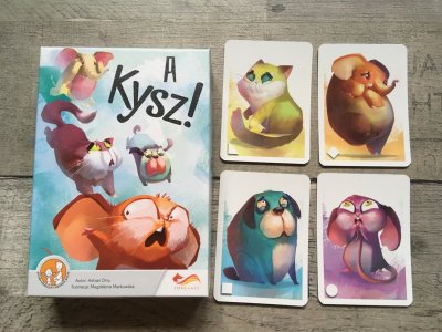 Gra karciana „A kysz!” to idealna zabawa dla maluchów (fot. Ewelina Zielińska/SilesiaDzieci.pl)