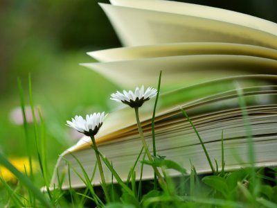 Wspólne czytanie "Wesela" odbędzie się m.in. w Parku Kościuszki w Katowicach (fot. pixabay)