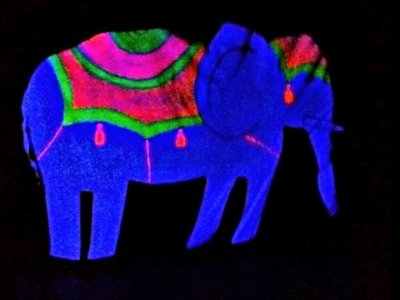 Słoń, tresowane zwierzaki i klaun to cyrkowe atrakcje, które zobaczycie w Teatrze Czarnego Tła (fot. mat. Teatr Czarnego Tła)
