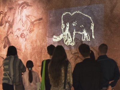 Warsztaty towarzyszą wystawie „Bliskie, lecz z dalekiego świata. Historia udomowienia ssaków” (fot. mat. Muzeum Śląskiego)