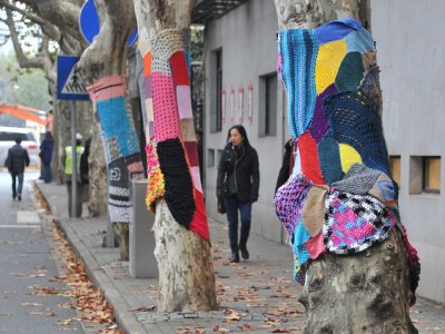 Jednym z działań, które odbędą się w ramach projektu będzie ubieranie drzew w kolorowe swetry (fot. mat. organizatora)