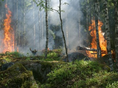 Na spotkaniu strażak opowie o pożarach lasów w Polsce, o tym, jak się zachować w sytuacji zagrożenia (fot. pixabay)