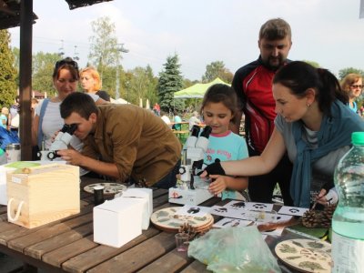 Dzień Parku Śląskiego to atrakcje o tematyce ekologicznej, przyrodniczej i artystycznej (fot. FB Park Śląski)