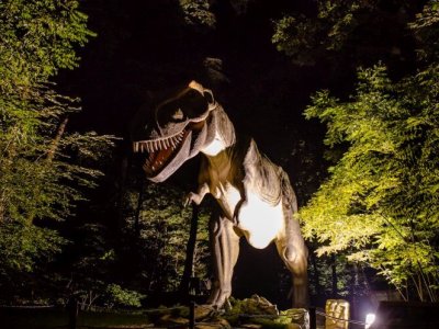 Przez kilka dni sierpnia Park Ruchomych Dinozaurów i Lunapark będą czynne do godz. 23 (fot. mat. Zatorlandu)