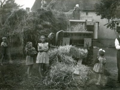 Młócenie zboża na podwórzu przy pomocy maszyny o napędzie motorowym. Brzezice, 1956 r. (fot. K. Jaworski. Zdjęcie pochodzi ze zbiorów Działu Etnografii MGB)