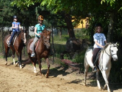 Półkolonie jeździeckie to świetny pomysł na aktywne spędzenie wakacji (fot. materiały pony-sport.pl)