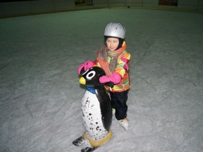 W Będzinie nowicjuszom w jeździe na lodzie pomogą pingwinki (fot. mat. prasowe)