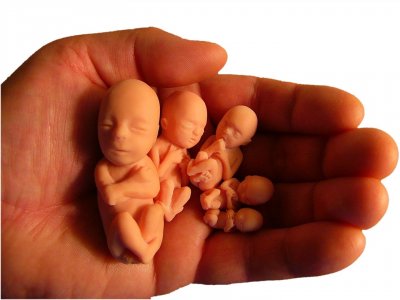 Poczęciny miałyby uzmysłowić ludziom, że życie nie zaczyna się w momencie narodzin, lecz już w chwili zapłodnienia (fot. sxc.hu)