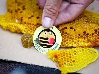 Obchody Wielkiego Dnia Pszczół odbędzie się 8 sierpnia w kilku miastach województwa śląskiego (fot. mat. organizatora)