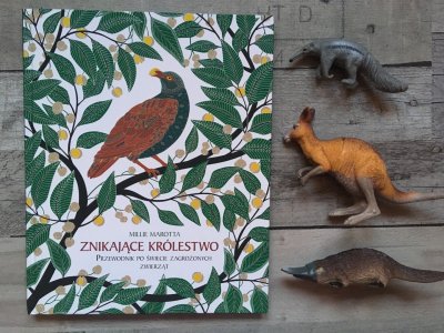 To książka idealna dla małych miłośników zwierząt (fot. Ewelina Zielińska/SilesiaDzieci.pl)